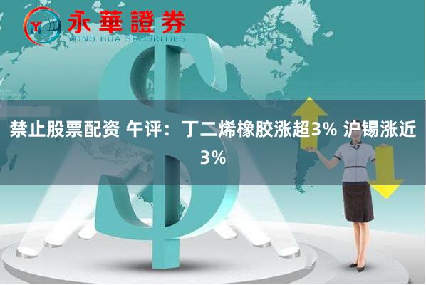 禁止股票配资 午评：丁二烯橡胶涨超3% 沪锡涨近3%