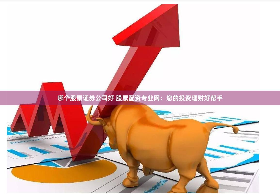 哪个股票证券公司好 股票配资专业网：您的投资理财好帮手